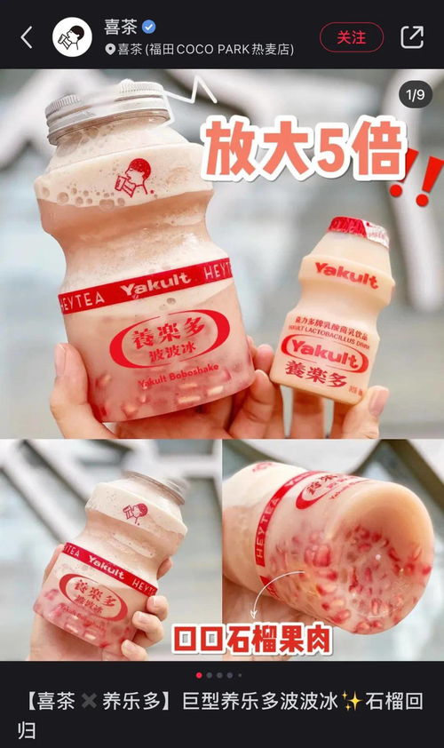 錦旗生物發布“三次元”益生菌 功能性茶飲賽道的破局新變量